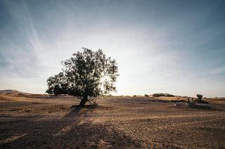 La Storia di Kaé; dall'amore per il Marocco alla cosmetica d'eccellenza