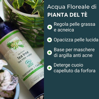 Acqua di Tea Tree